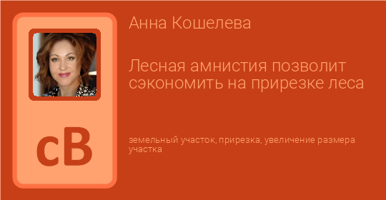 Лесная амнистия позволит сэкономить на прирезке леса